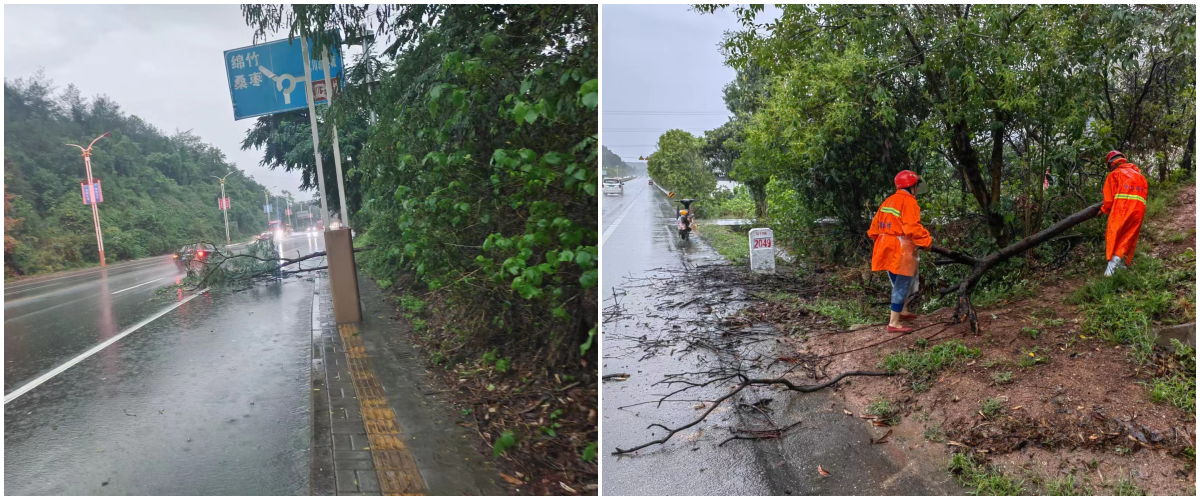 管养路段永安路、绵梓路.png